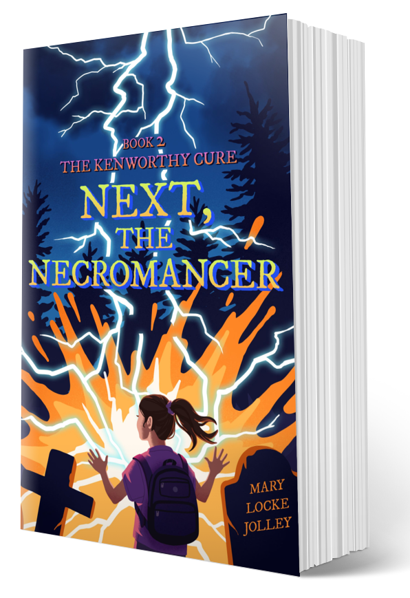 image of Next, The Necromancer paperback